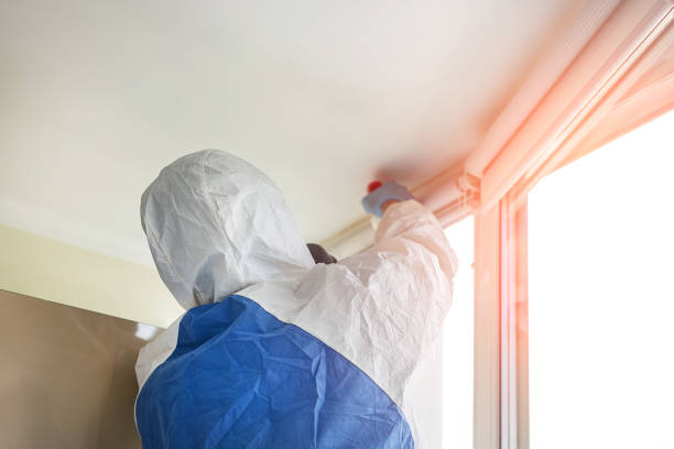 Best Asbestos and Lead Testing During Mold Inspection in Newport East, RI